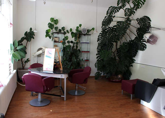 Salon Doris Rüdiger, Natur von Kopf bis Fuß